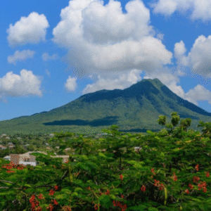 The Charm of Nevis Tour by Scenic Escape St. Kitts (Min 4 People)