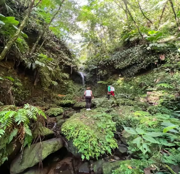 Lawyer Stephen Hike with Waterfall and Cave Hike - Image 2