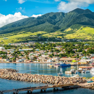 St. Kitts: Top Sights Guided Van or Open-Air Safari Tour (2 People Minimum)