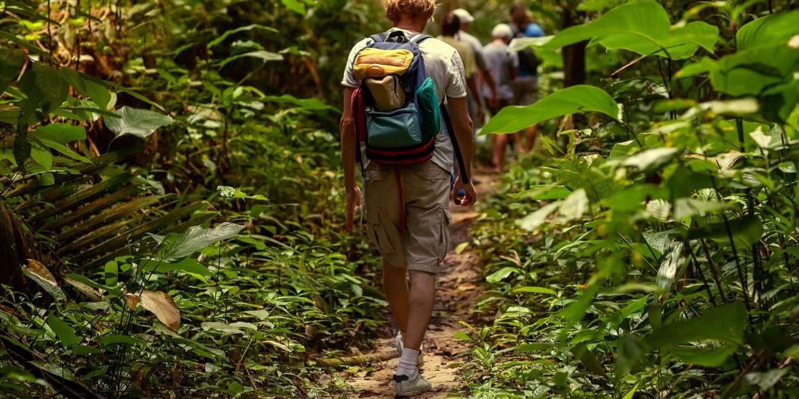 Rainforest Eco Adventure Hike - Image 2