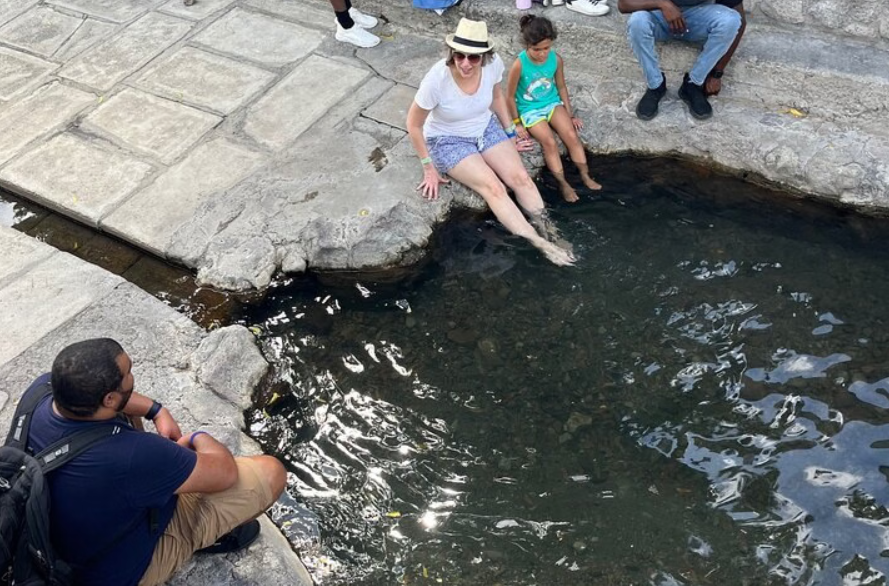 Two Islands One Paradise Private Tour of St. Kitts & Nevis - Image 8