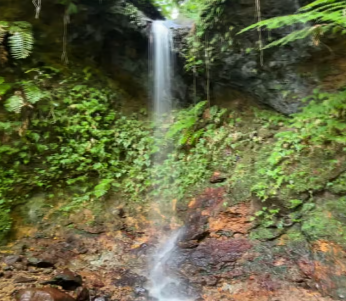 Lawyer Stephen Hike with Waterfall and Cave Hike - Image 13