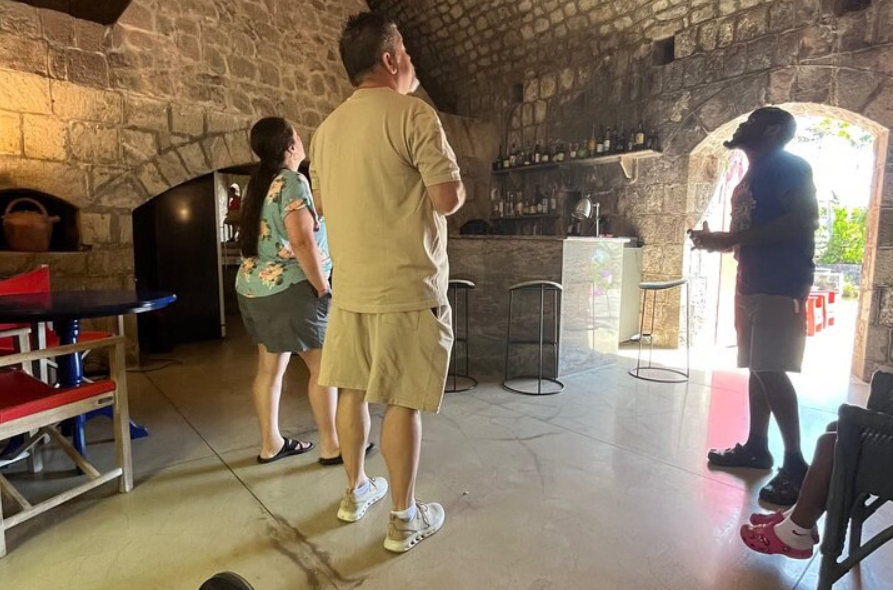 Two Islands One Paradise Private Tour of St. Kitts & Nevis - Image 7