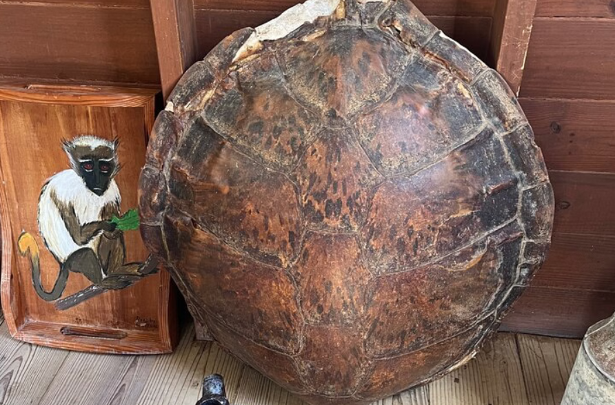 Two Islands One Paradise Private Tour of St. Kitts & Nevis - Image 4