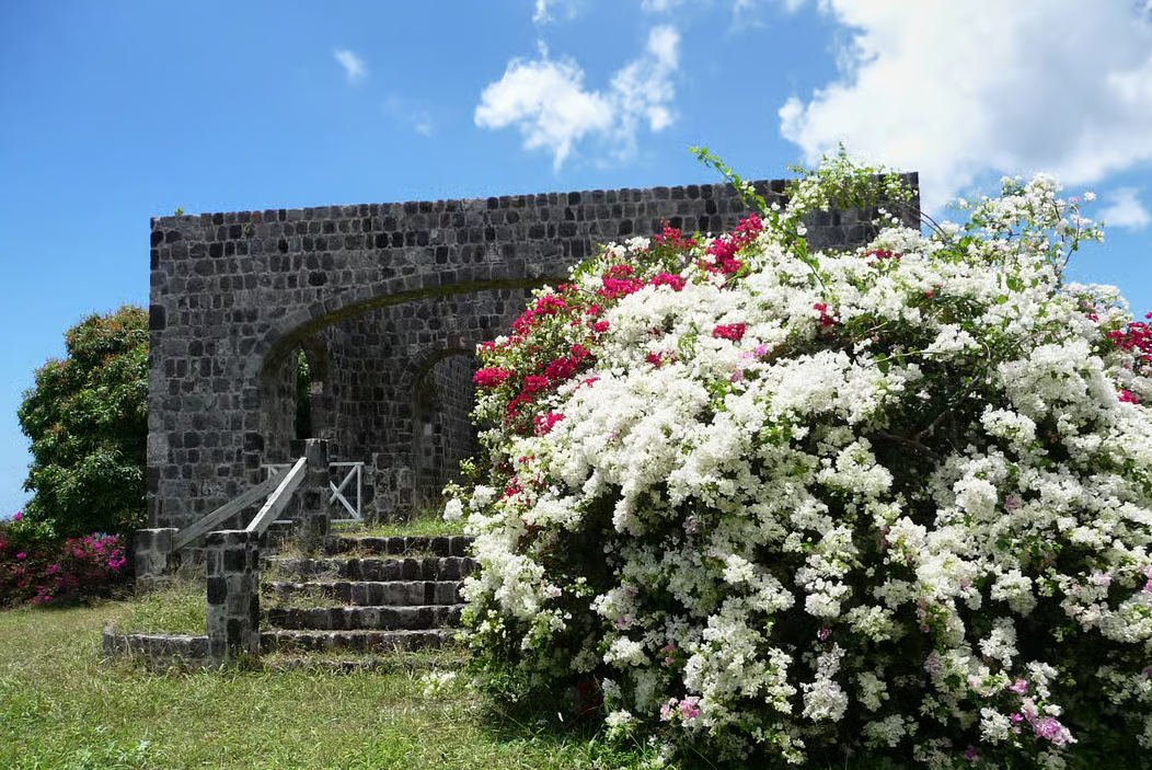 St. Kitts: Top Sights Guided Van or Open-Air Safari Tour (2 People Minimum) - Image 4