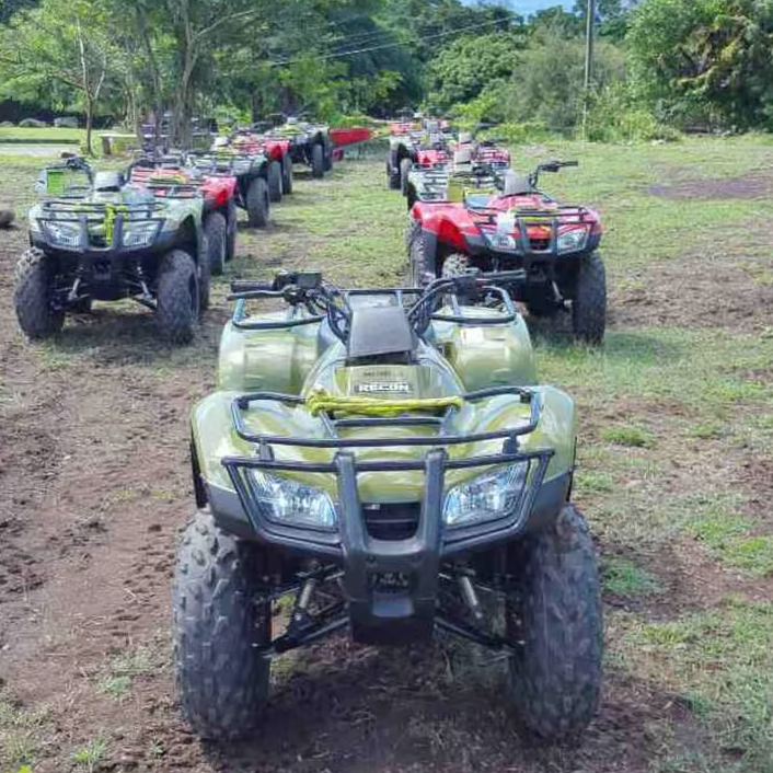 St. Kitts: Jungle Bikes Off-Road ATV Tour - Image 3