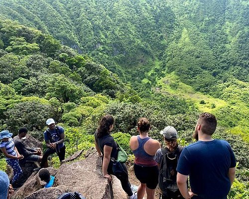 Rainforest Eco Adventure Hike