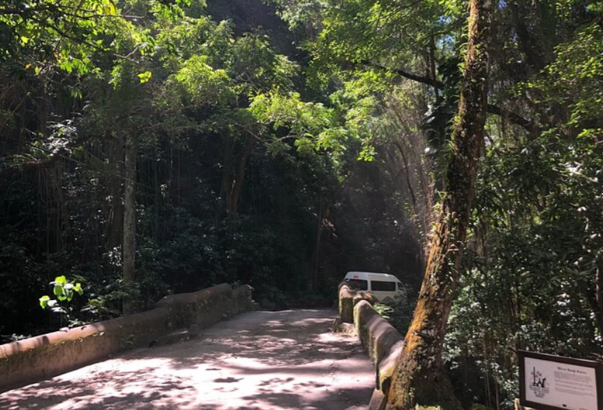 3 Hours Private Royal Highlight St. Kitts Tour - Image 7