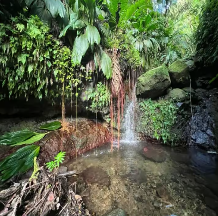 Lawyer Stephen Hike with Waterfall and Cave Hike - Image 5