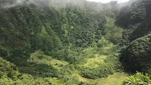 Rainforest Eco Adventure Hike - Image 5