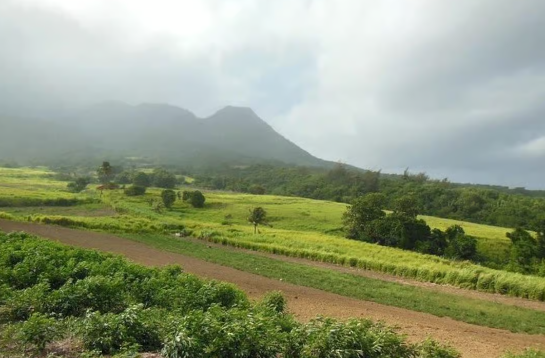 St. Kitts: Jungle Bikes Off-Road ATV Tour - Image 5