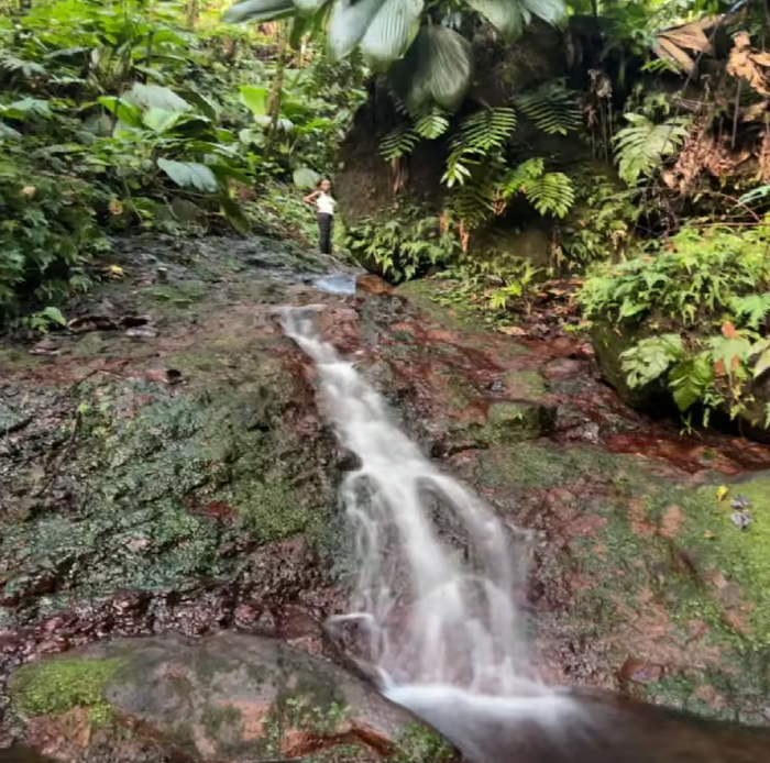 Lawyer Stephen Hike with Waterfall and Cave Hike - Image 6