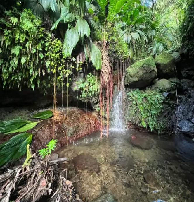 Lawyer Stephen Hike with Waterfall and Cave Hike - Image 7