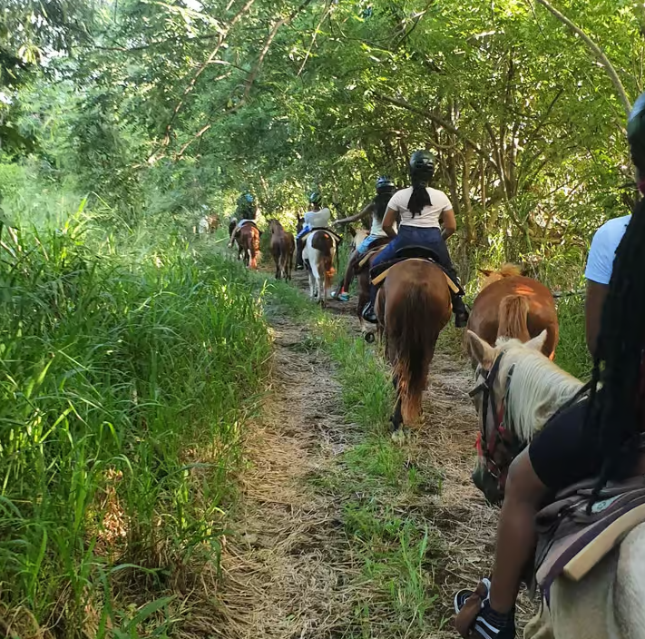 Scenic Horseback Trail by Scenic Escape - Image 7