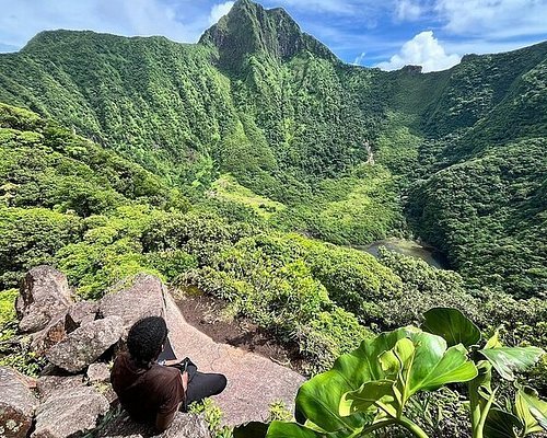 Rainforest Eco Adventure Hike - Image 7