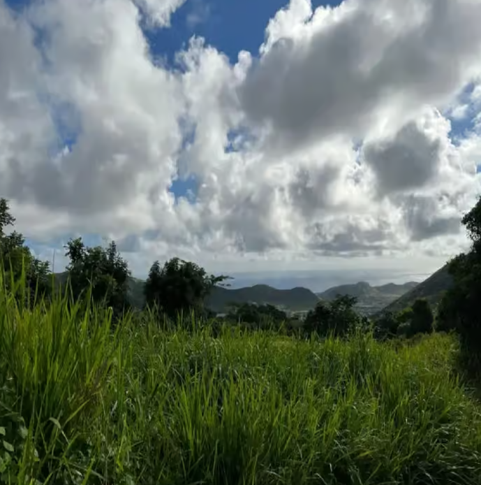 Lawyer Stephen Hike with Waterfall and Cave Hike - Image 9