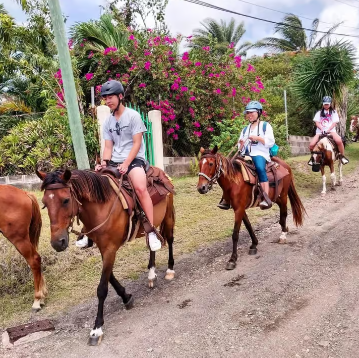 Scenic Horseback Trail by Scenic Escape - Image 9