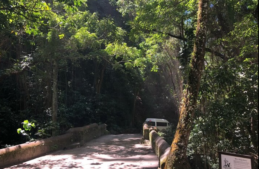 Two Islands One Paradise Private Tour of St. Kitts & Nevis - Image 12