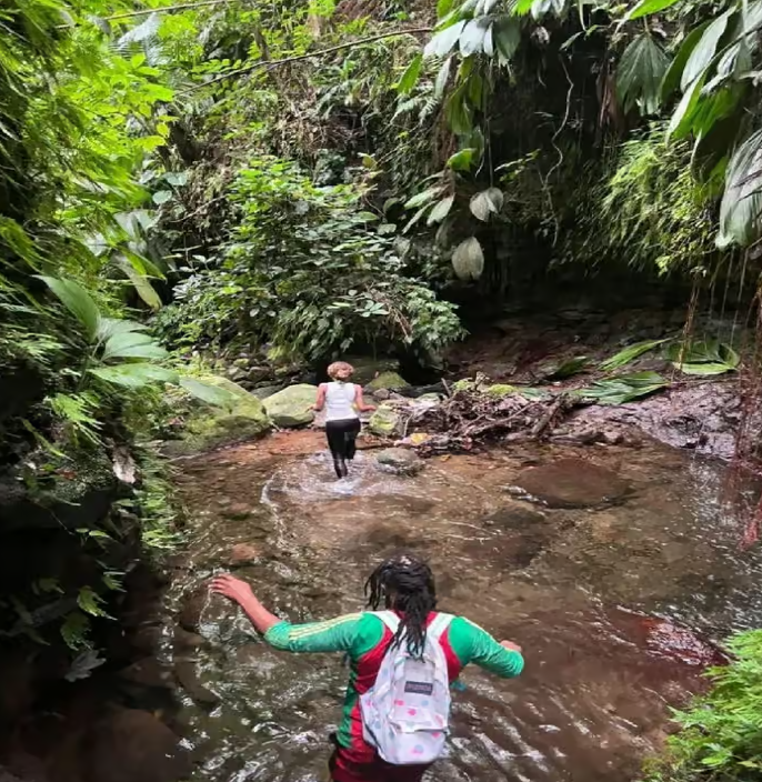 Lawyer Stephen Hike with Waterfall and Cave Hike - Image 10